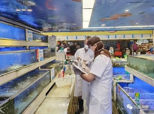 6月15日川观早点来了