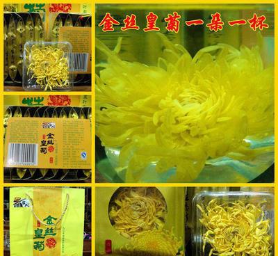 批发菊花茶 正宗修水金丝皇菊 大朵菊花一朵一杯 一盒十朵4盒