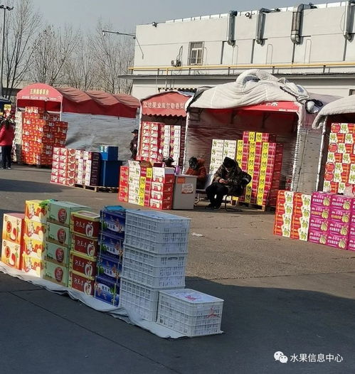 做水果生意,必须要知道的5大水果一级批发市场