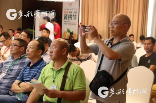 以节作媒 助推销售 玉屏黄桃世界 贡 享