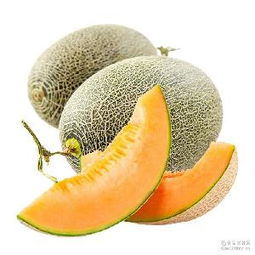 哈密瓜蓉产品综合指南 价格、型号、图片及预包装食品批发与零售服务