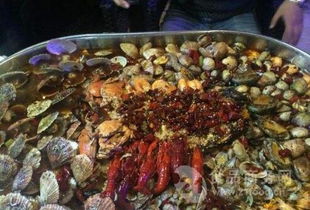 蝶鱼 蝶鱼价格 报价 蝶鱼品牌厂家