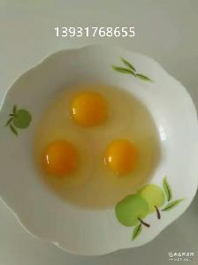 纯柴鸡蛋 纯柴鸡蛋价格 报价 纯柴鸡蛋品牌厂家