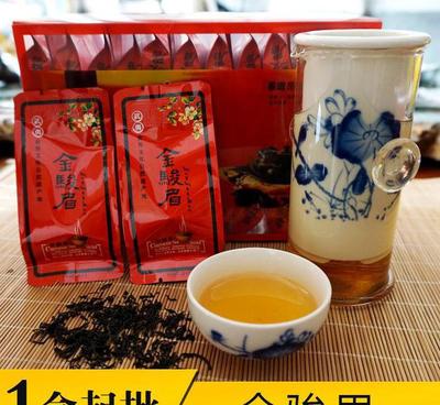 武夷山红茶金骏眉礼盒装 J110 优质预包装茶叶批发与零售指南